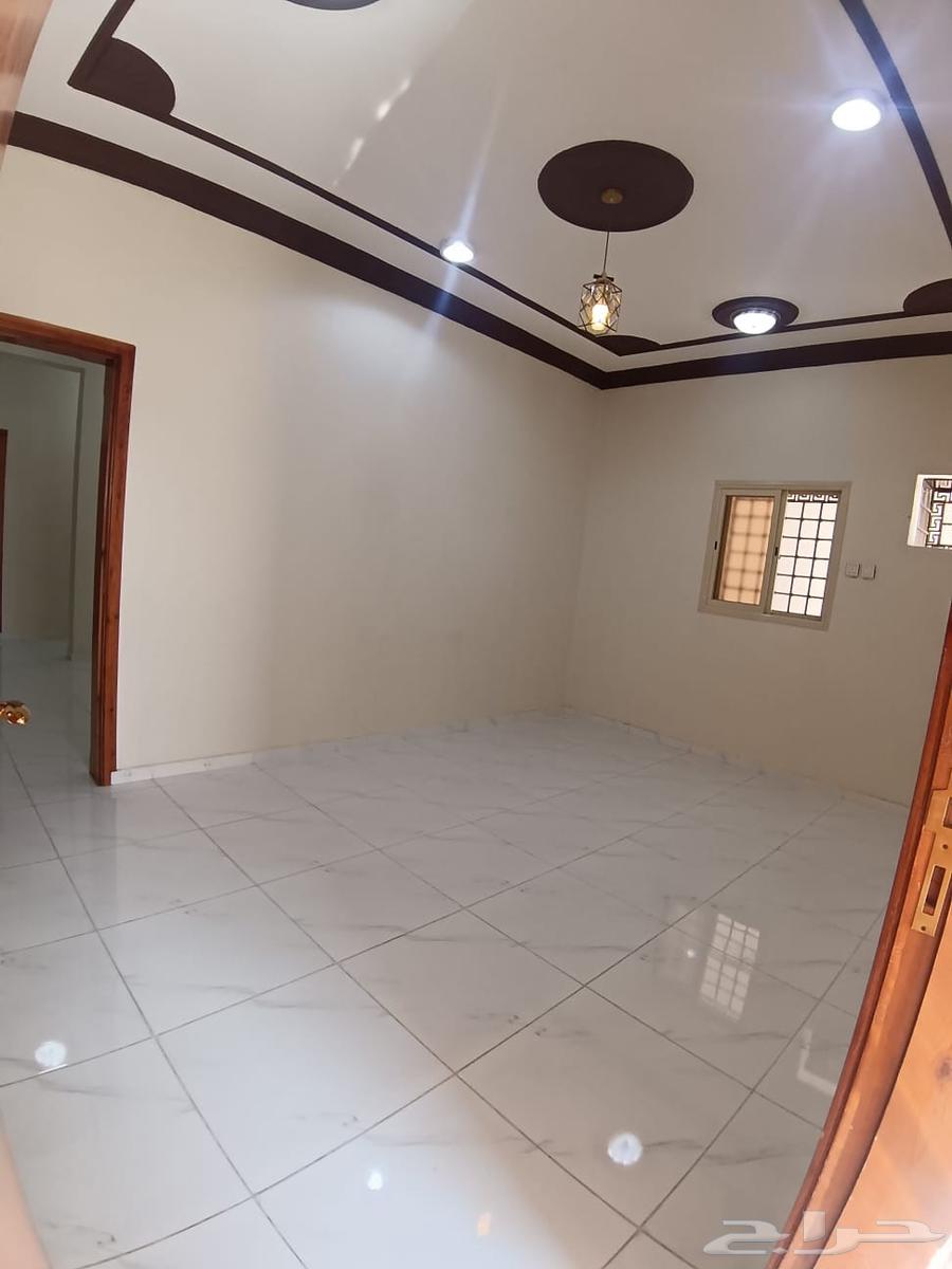 شقه للايجار حي عتود64594098572546114