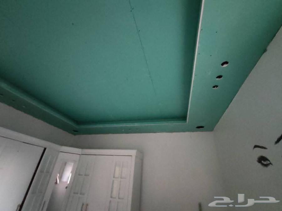 Regular Gypsum, Gypsum Board, Cement Board, Walls, Frame64606304538753110