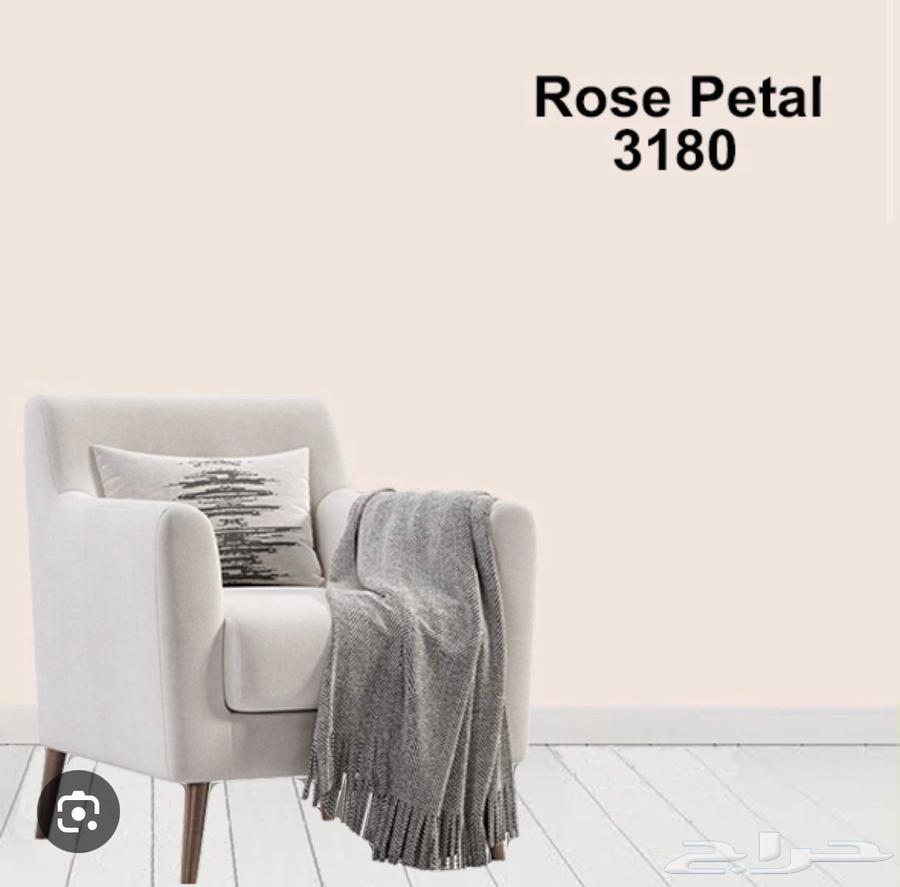 دهان الرياض64606459838211113