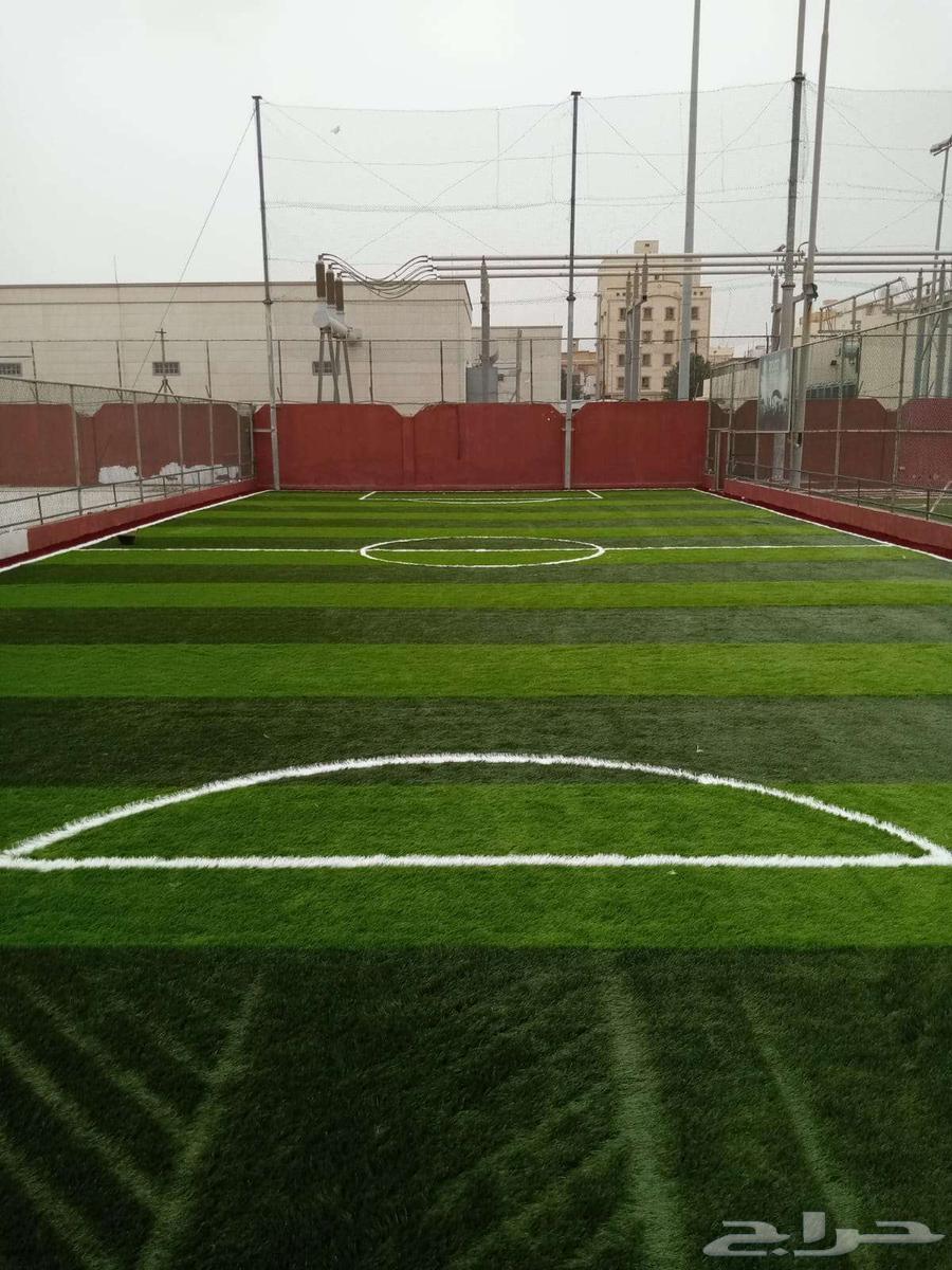 Artificial turf for playgrounds and gardens64606275402243113