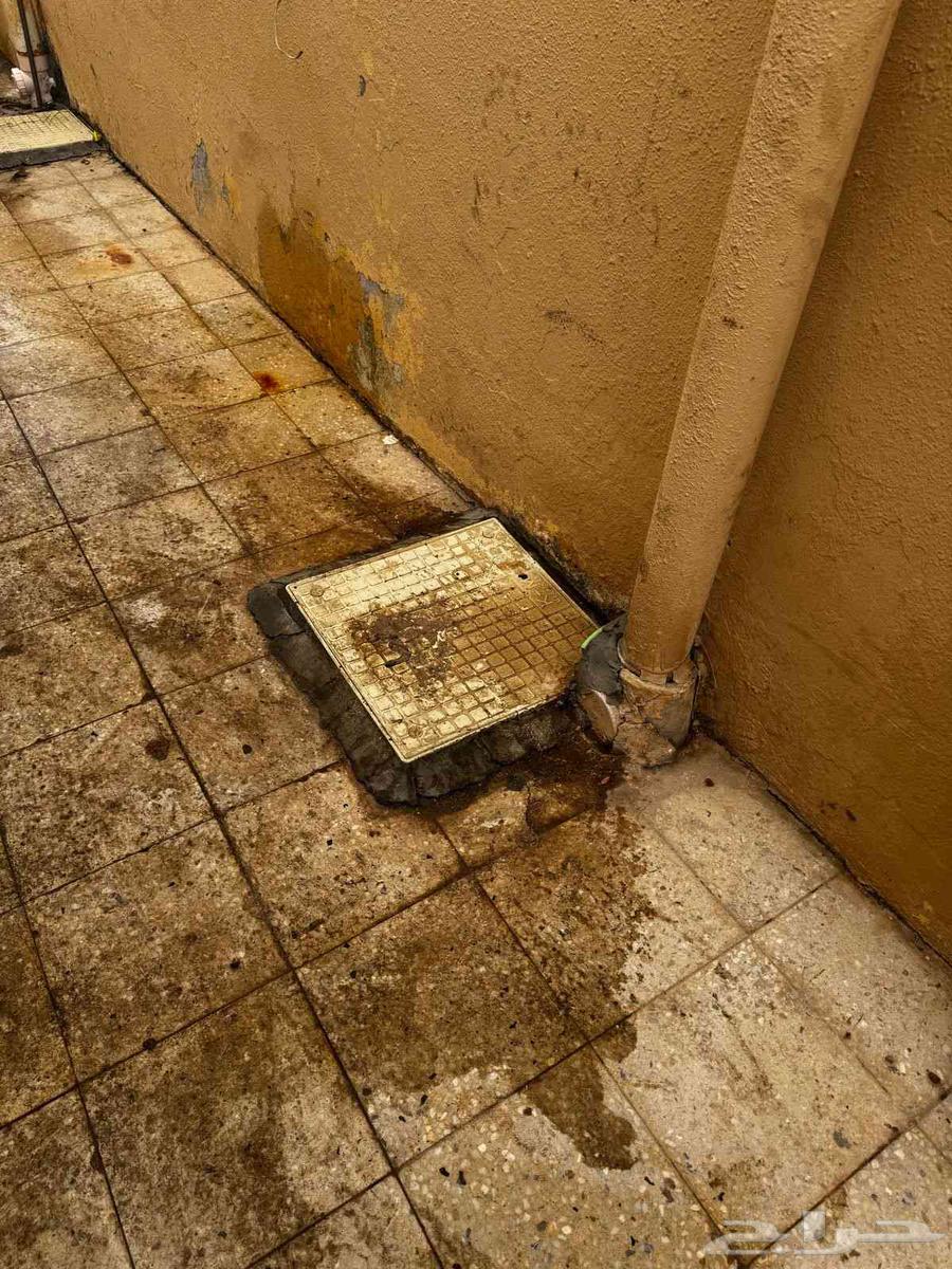 Kitchen, bathroom, sink, septic tank, yard drain and inspection chambers unclogging in Riyadh64606375125763114