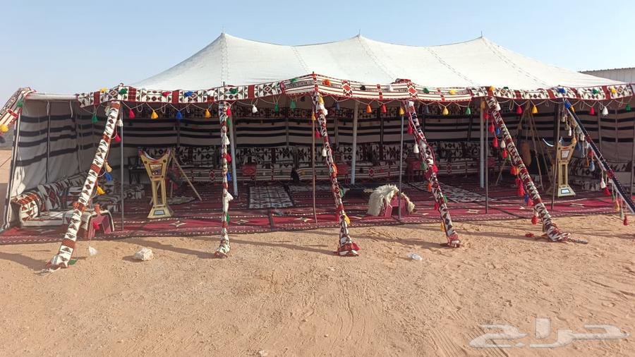 تأجير جلسات شعبية تأجير كراسي طاولات تاجير كنب64606446884866111