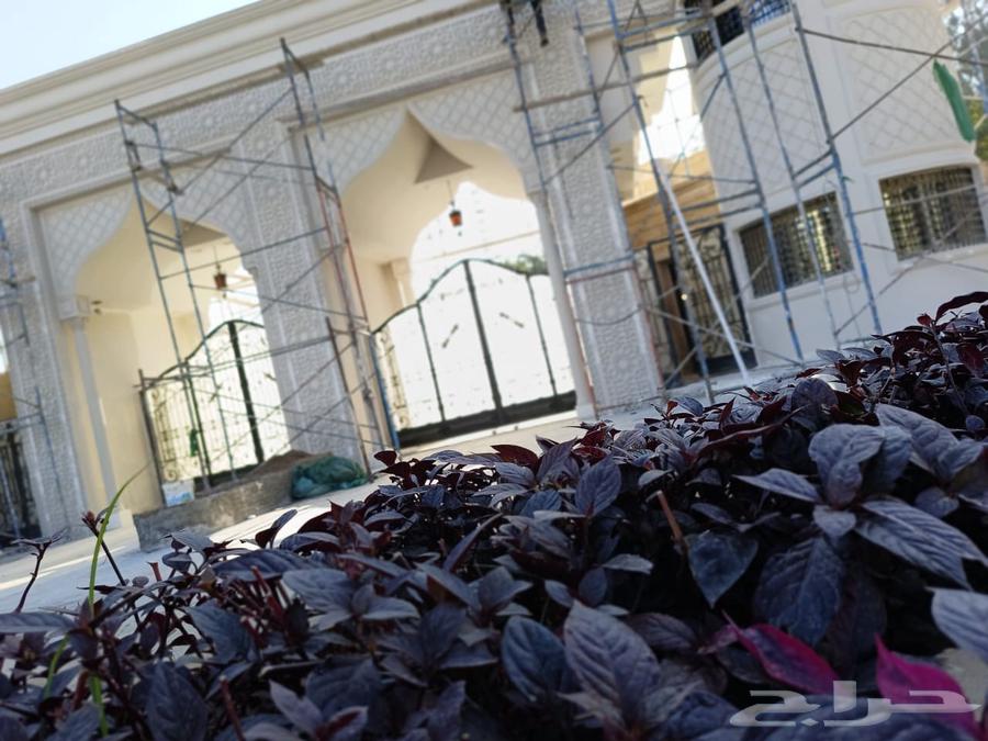 م تشطيبات داخلي64606432630018111