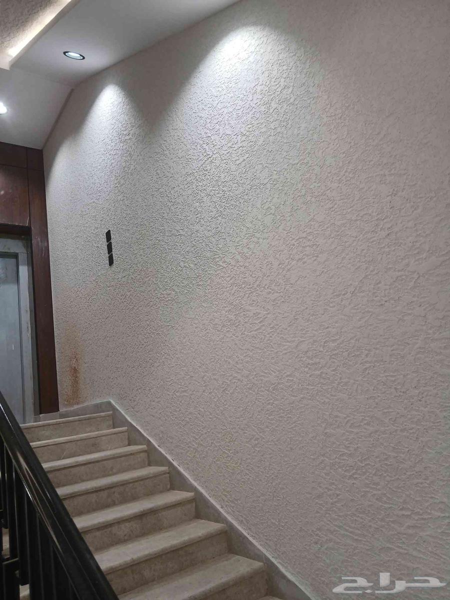 High-Quality Graffiti, Guaranteed Quality, Reasonable Price64613426002305112