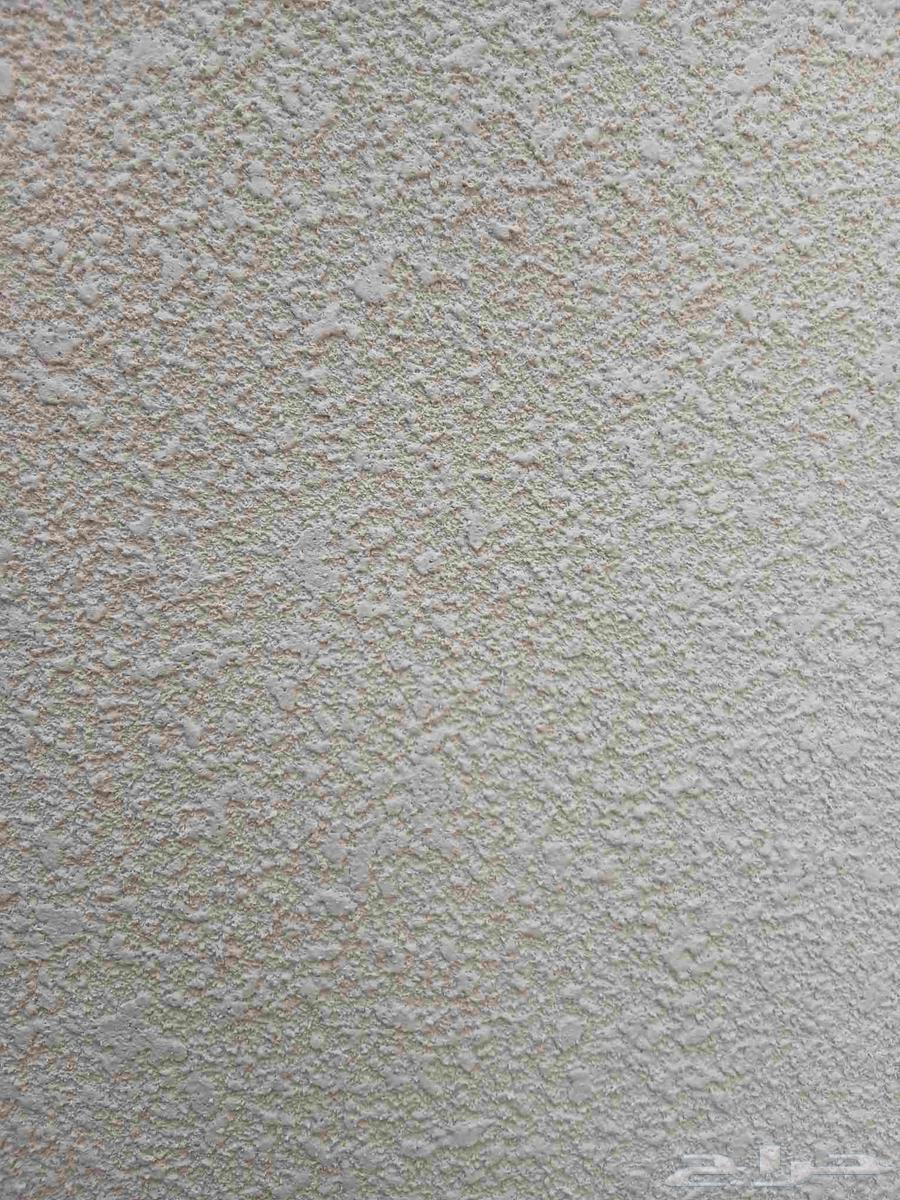 High-Quality Graffiti, Guaranteed Quality, Reasonable Price64613426002305110