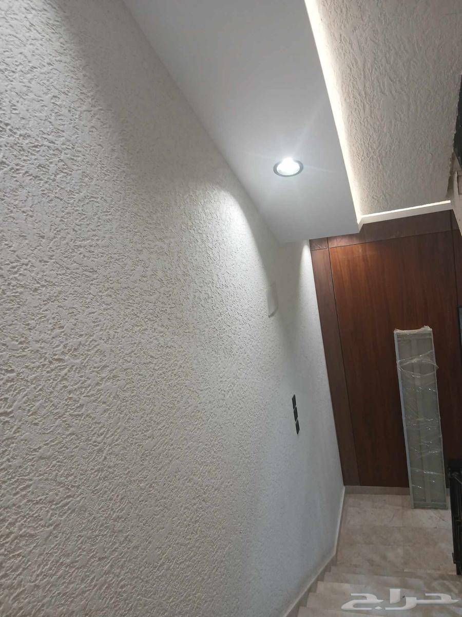 High-Quality Graffiti, Guaranteed Quality, Reasonable Price64613426002305113