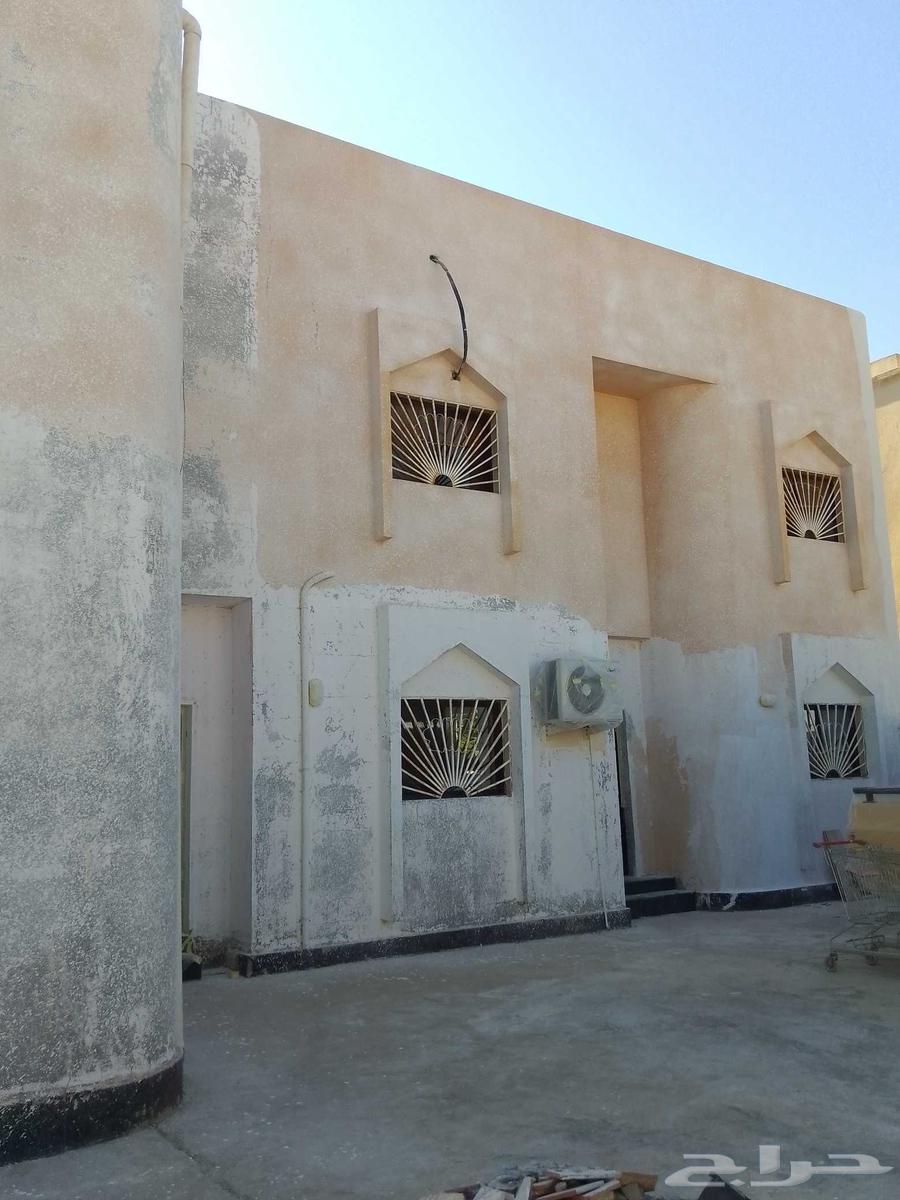 صباغ الجبيل اصباغ داخلي خارجي اصباغ برجولات64606188000129110