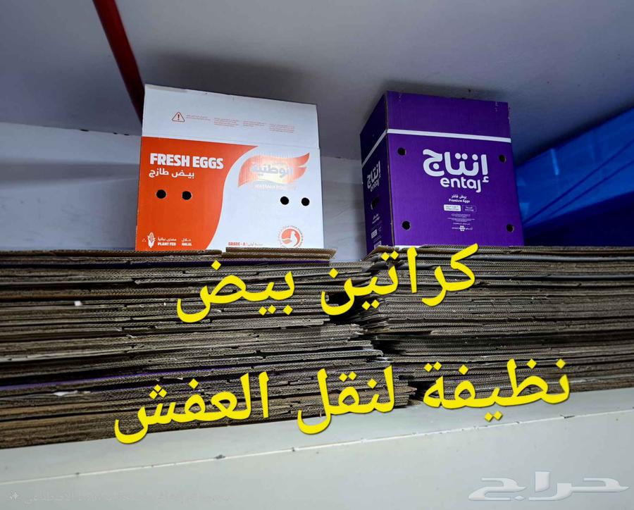 كراتين بيض فارغة نظيفة على الشرط64606233110273114