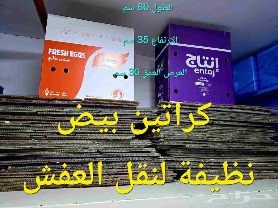 كراتين بيض فارغة نظيفة على الشرط64606233110273110