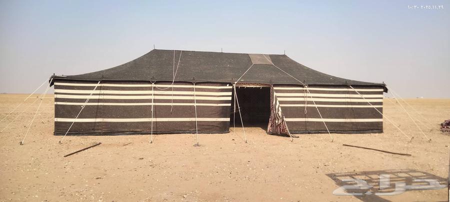 تركيب بيوت شعر وخيام بحفر الباطن64606276490371110