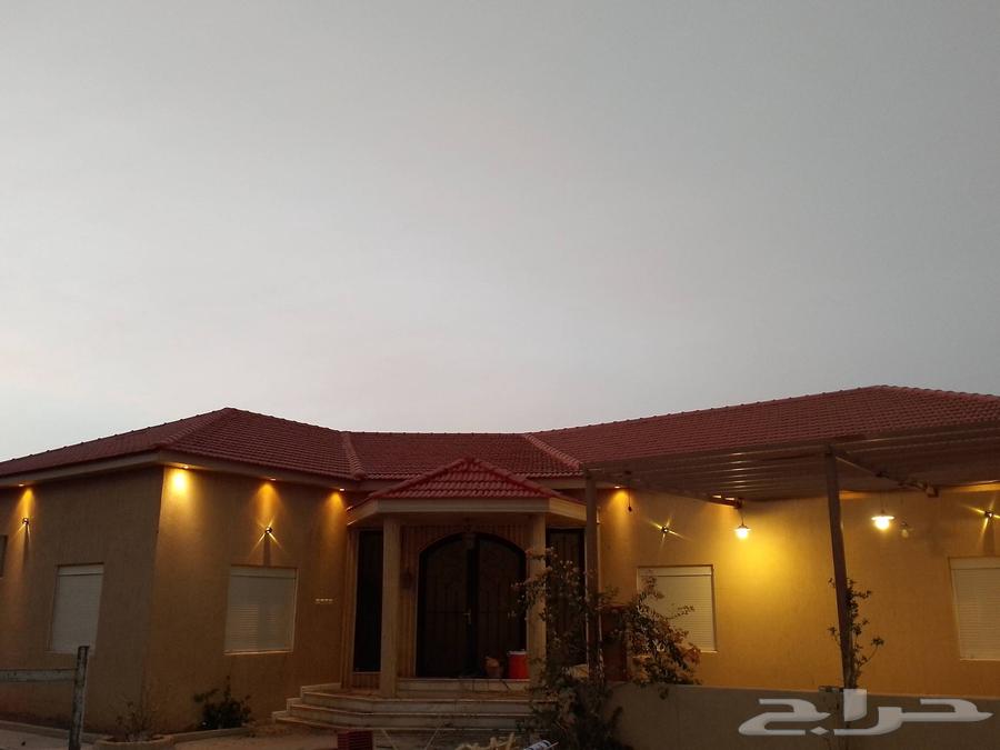 Blacksmith and Tile Master64606446622467112