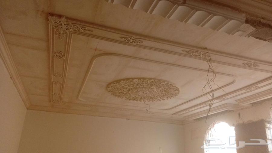 معلم جبس بورد وجبس عادي سقف مستعار سيمن  بورد جيدارر جبس بور64606418758785114