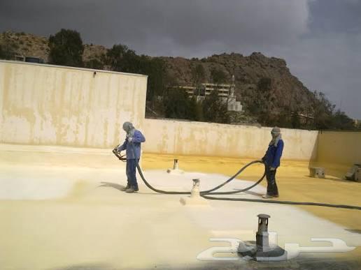 Roof and House Waterproofing – 10-Year Warranty64606418315907113