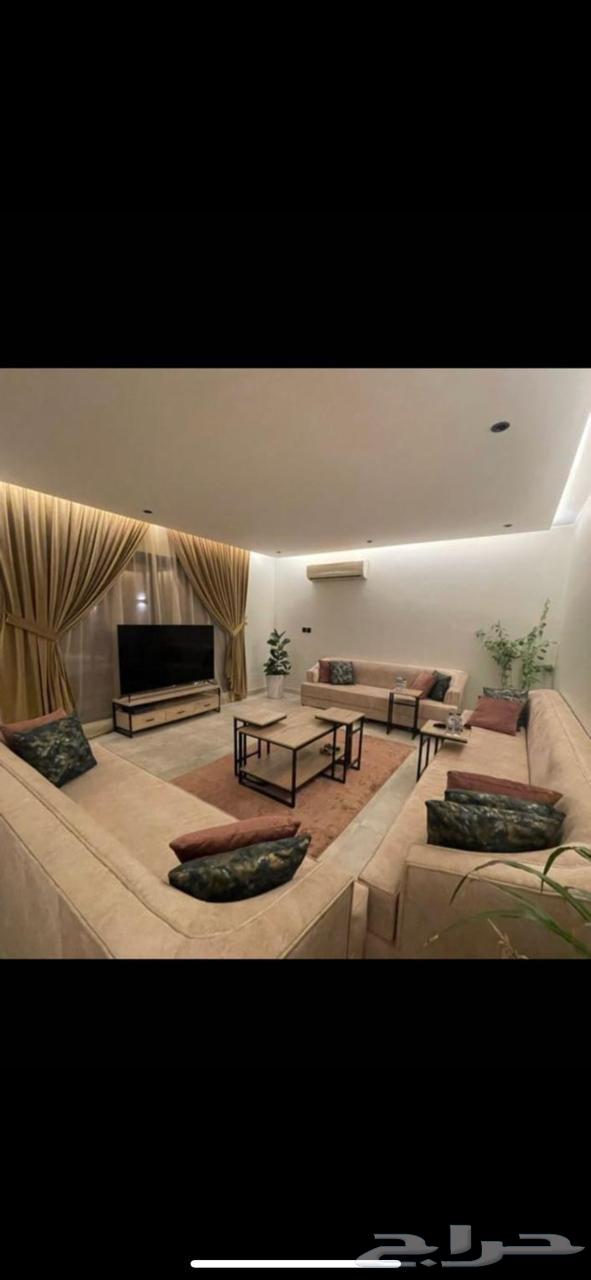 جبس بورد سقف جدار و سمنت64606417927042113