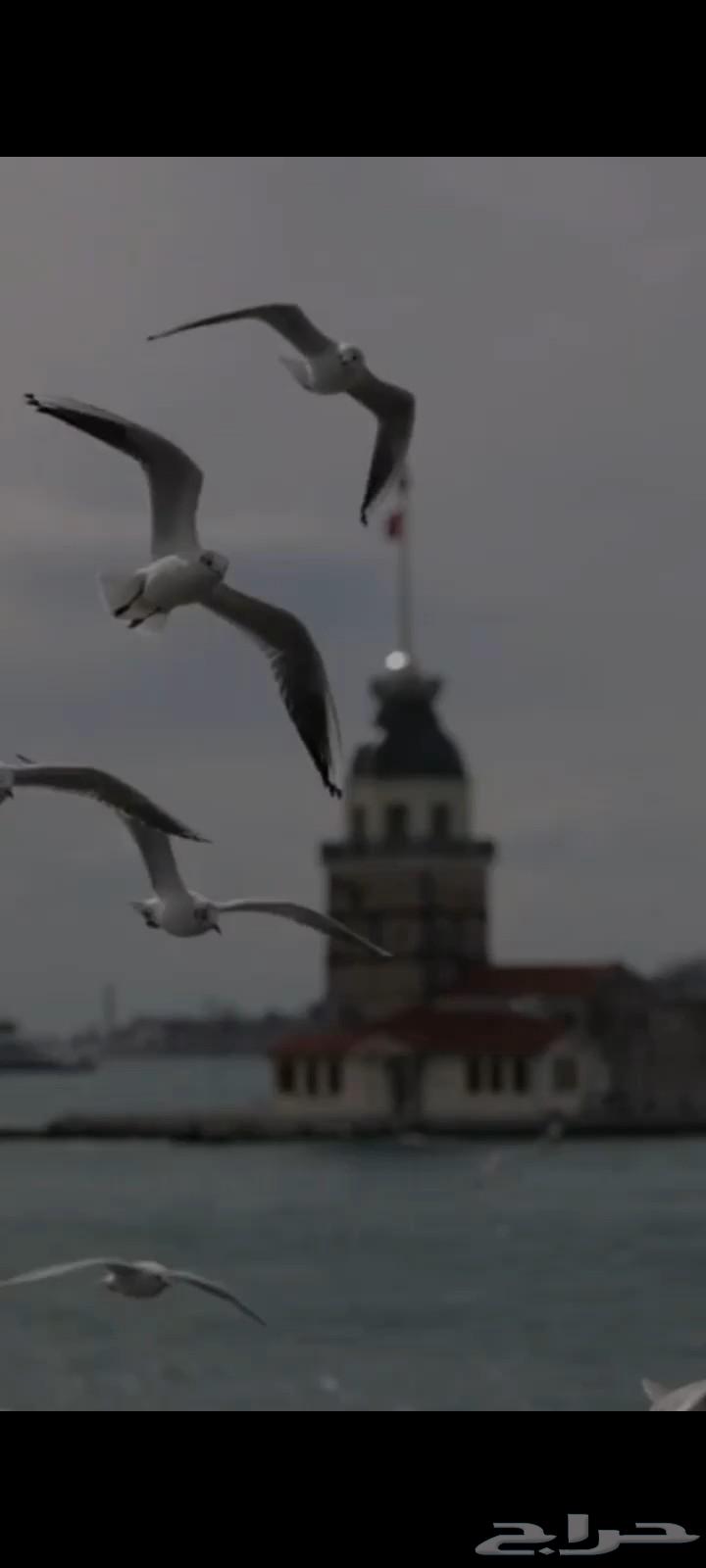 مطلوب شقه للايجار في حي العاقول يفضل تكون دور ارضي64613425155073110