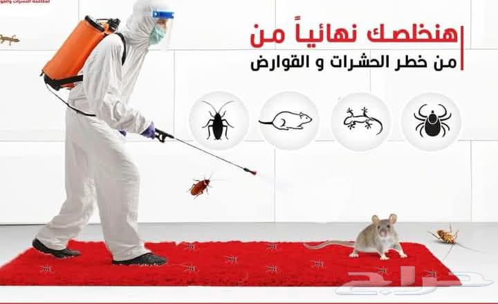 Pest Control Company in Makkah64606347345281110