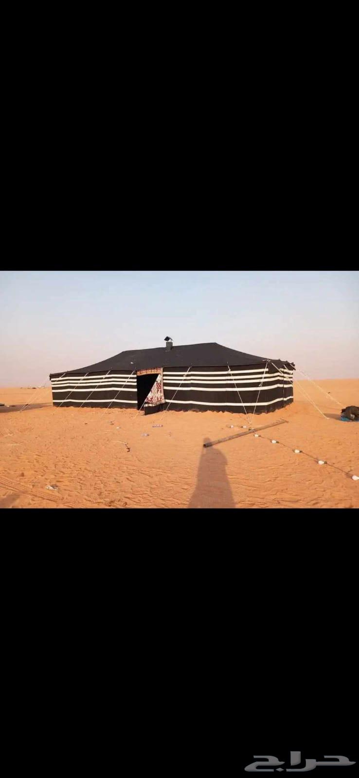 ايوجد بيوت شعر ابيض تركي رقم واحد خط حمر64606188908929112