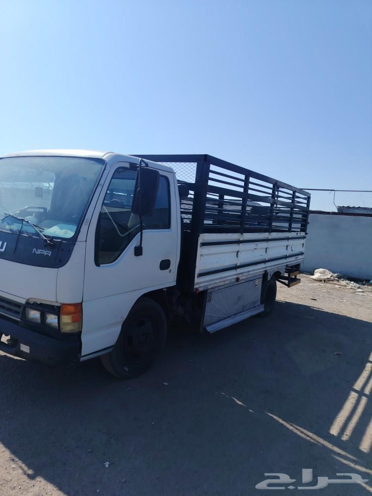 Dina's Errands64606290071297110