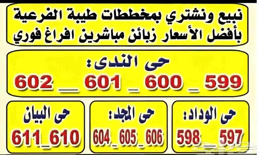 Land for Sale: Various Plots and Sizes in Taybah Al-Far’iyyah, All Sections64606245797506110