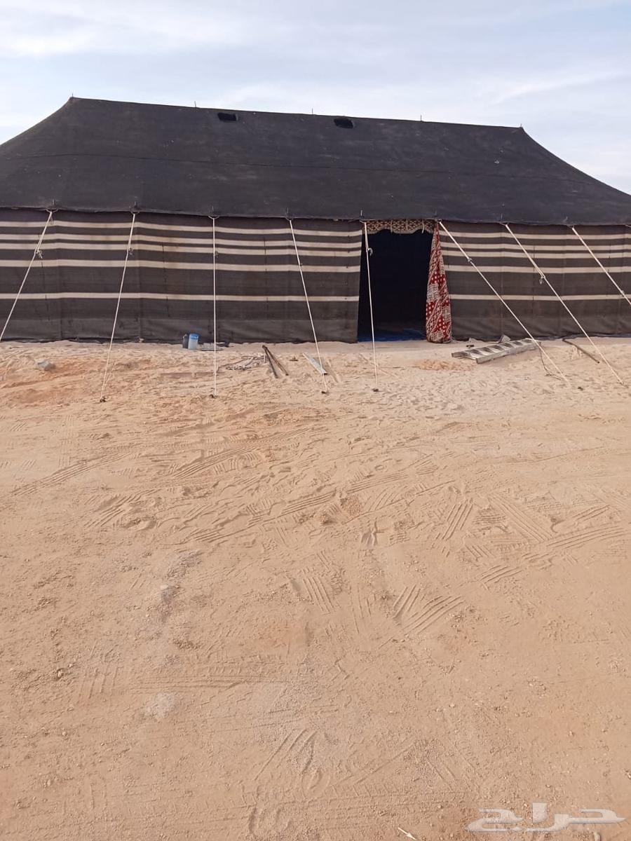 تركيب خيام وبيوت الشعر بريده64606233320321110