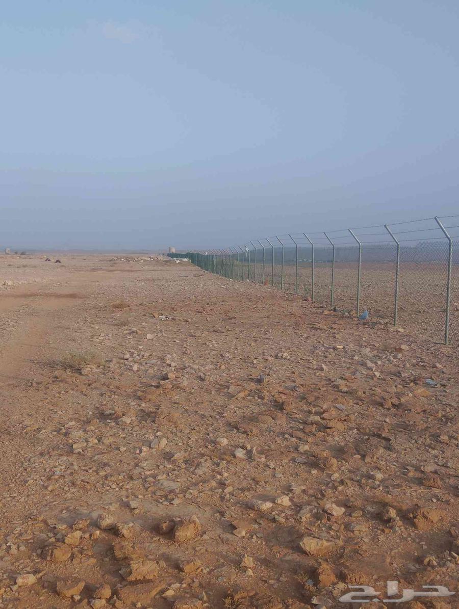 مقاول جميع انواع الشبوك وأعمال النخيل والبيوت التراثيه من ا64836304235010113