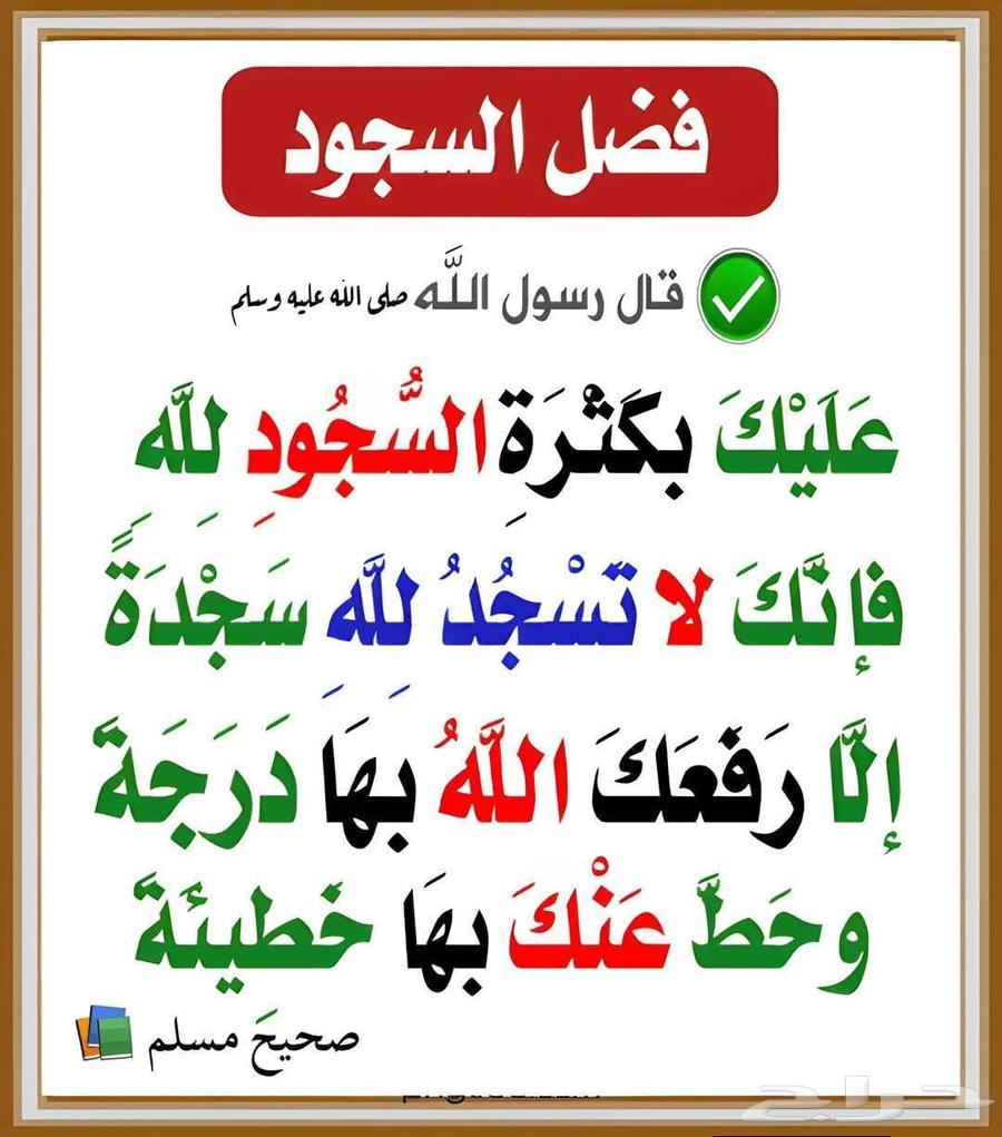 Private Tutor64836404387969110