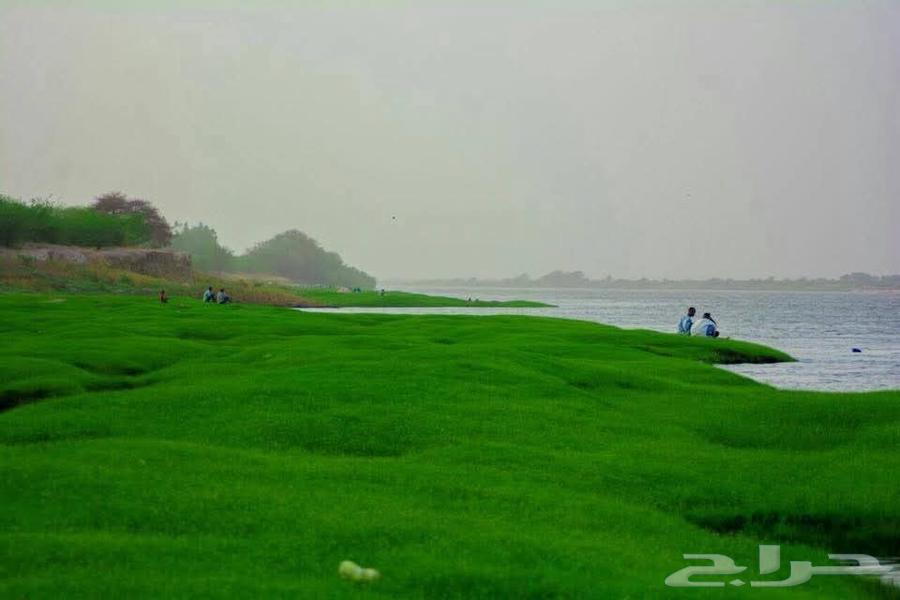 مدرس لغة انجليزية64836404867585110