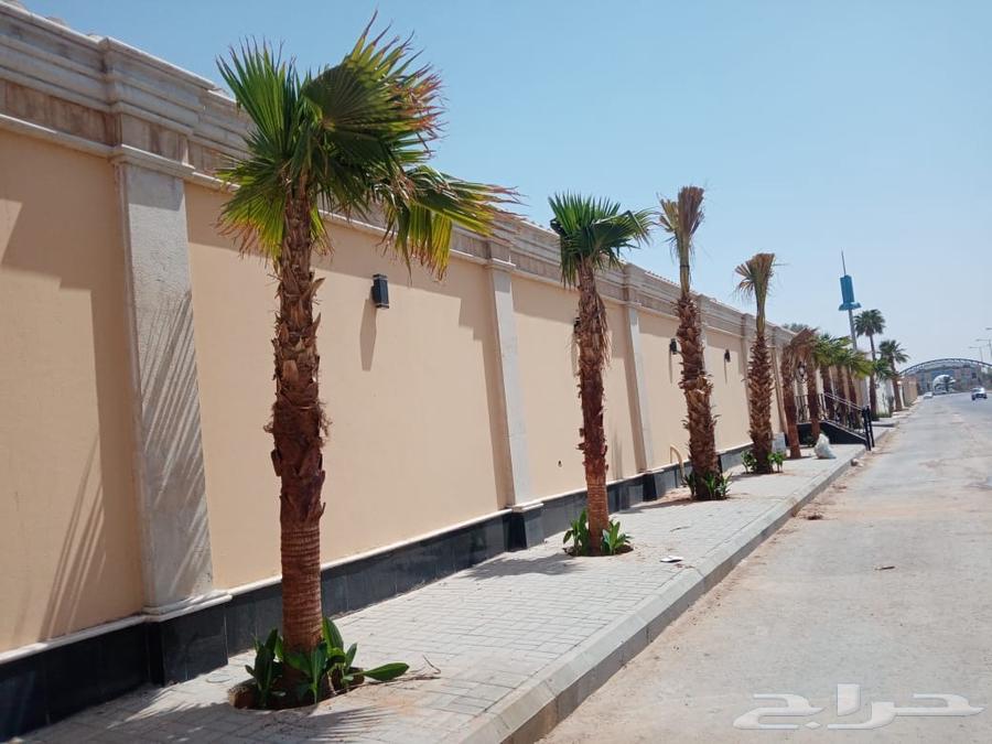 Nursery for Landscape Design, Irrigation Networks, and All Types of Palms and Trees64618948110210111