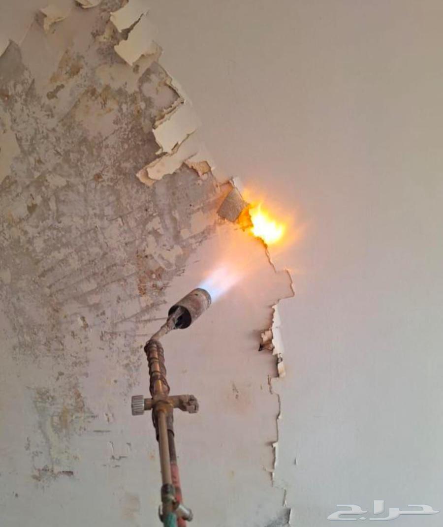 Burning Paint for Removing Internal and External Profiles64619137978627111