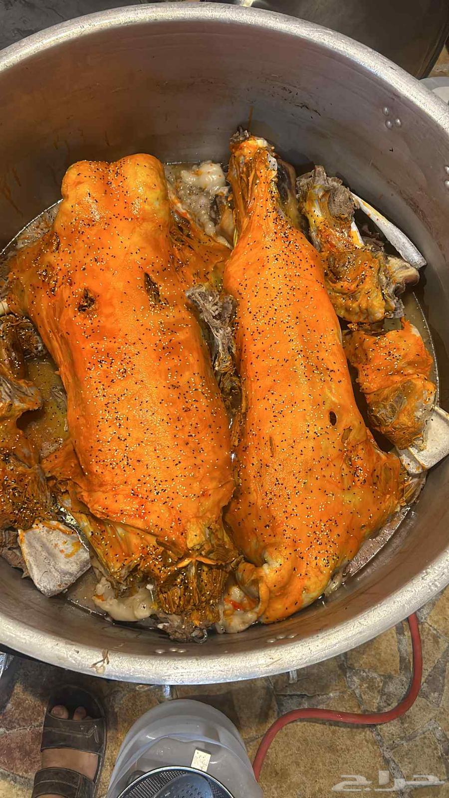 طباخ متنقل داخل وخارج الرياض ابو مشاري64619008356483111