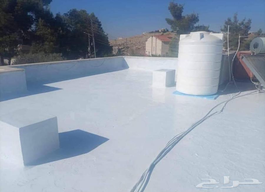 Professional painter specializing in all types of modern paints and renovation64619152969603113