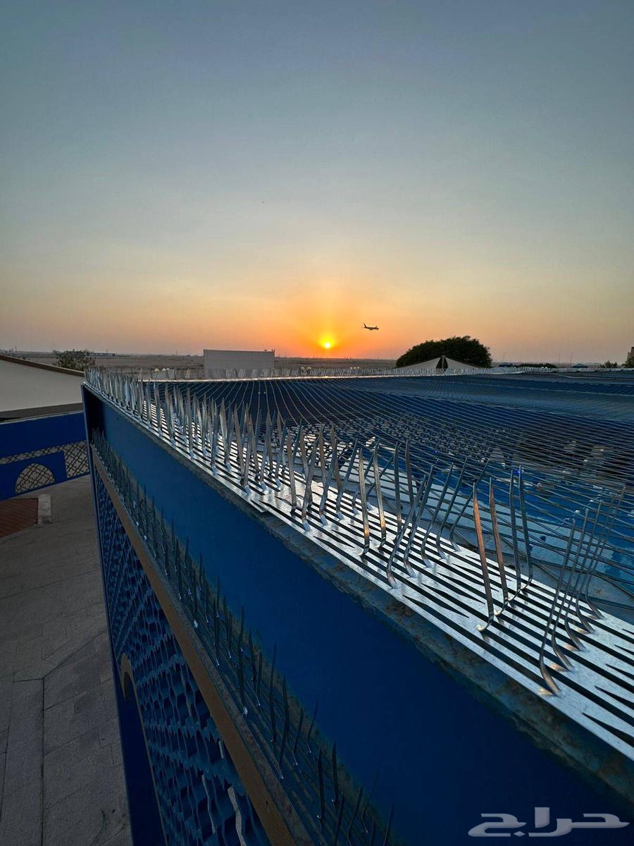 شركة تركيب طارد ومانع الحمام شبك وشوك ومانع قطط64619152954625112