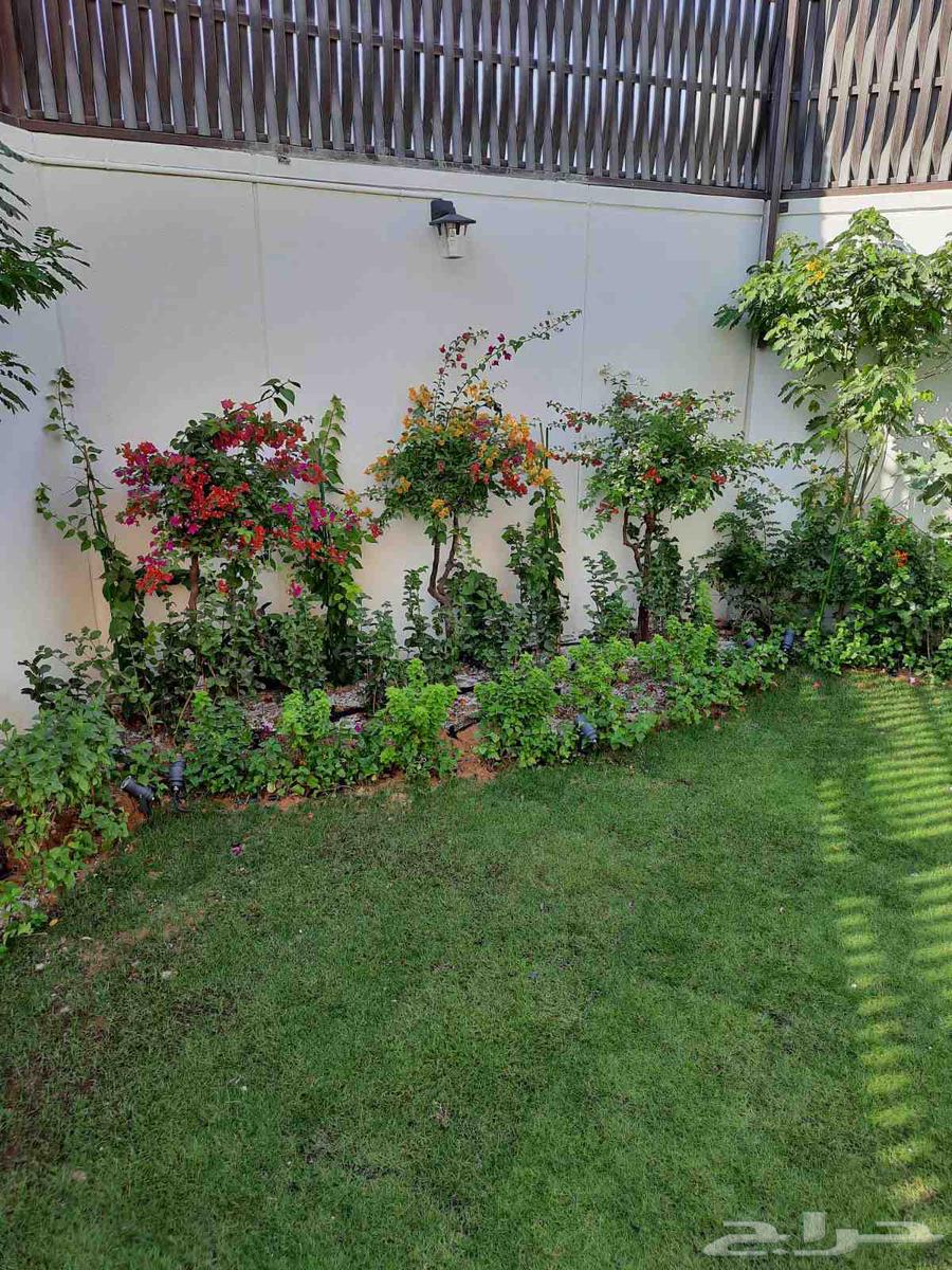 تنسيق حدائق وتركيب جميع انواع شبكات الري والعشب الصناعي وعلا64619138661763110