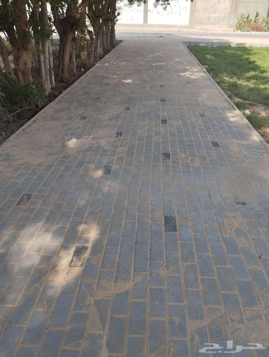 تركيب البندوره والانترلوك64619110062593113