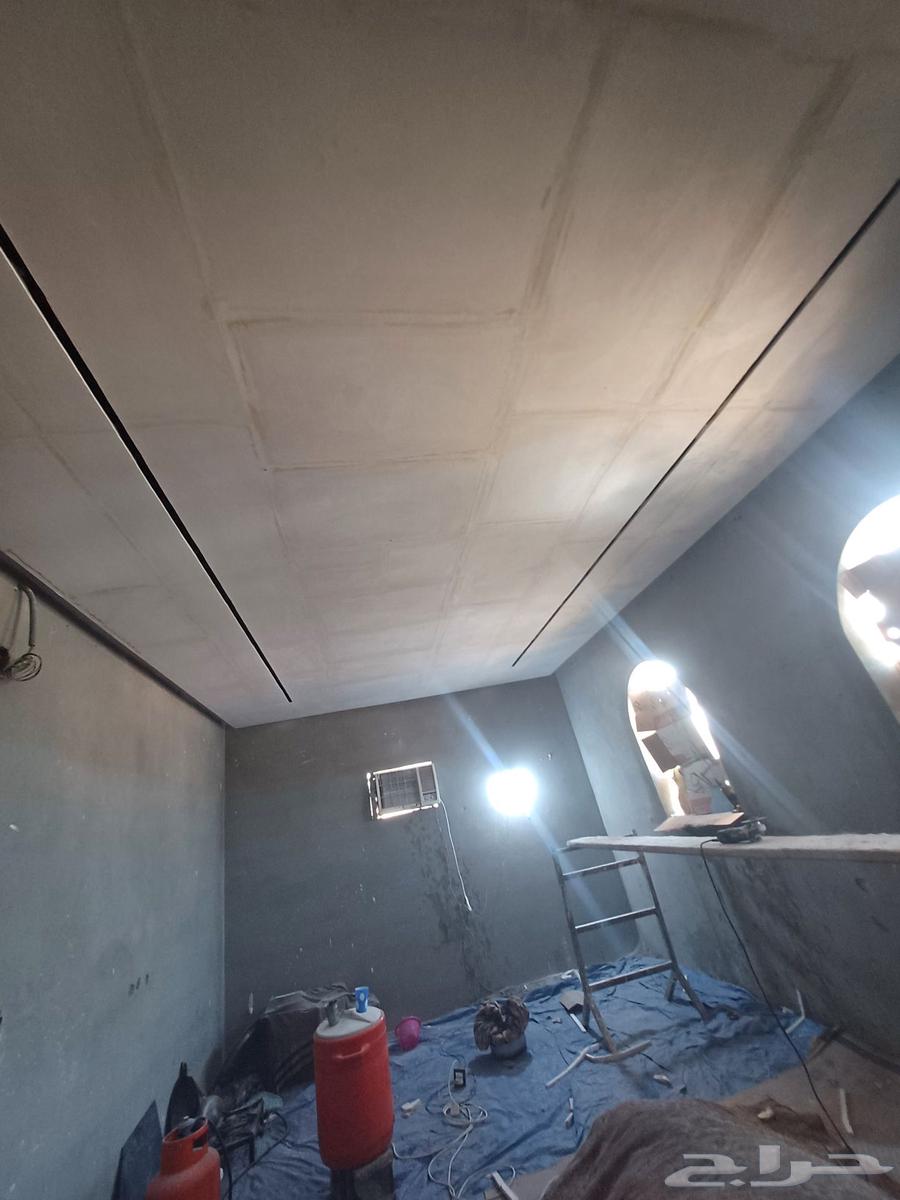 Plasterer: Gypsum, Drywall, and Local Plaster64618933641090114