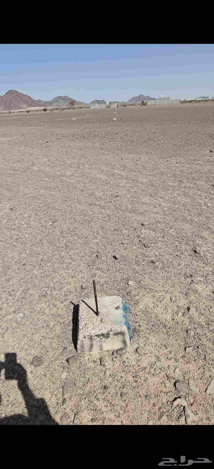 For Sale: Corner Plot in Al-Suwaidrah Second Layout64618932690946113