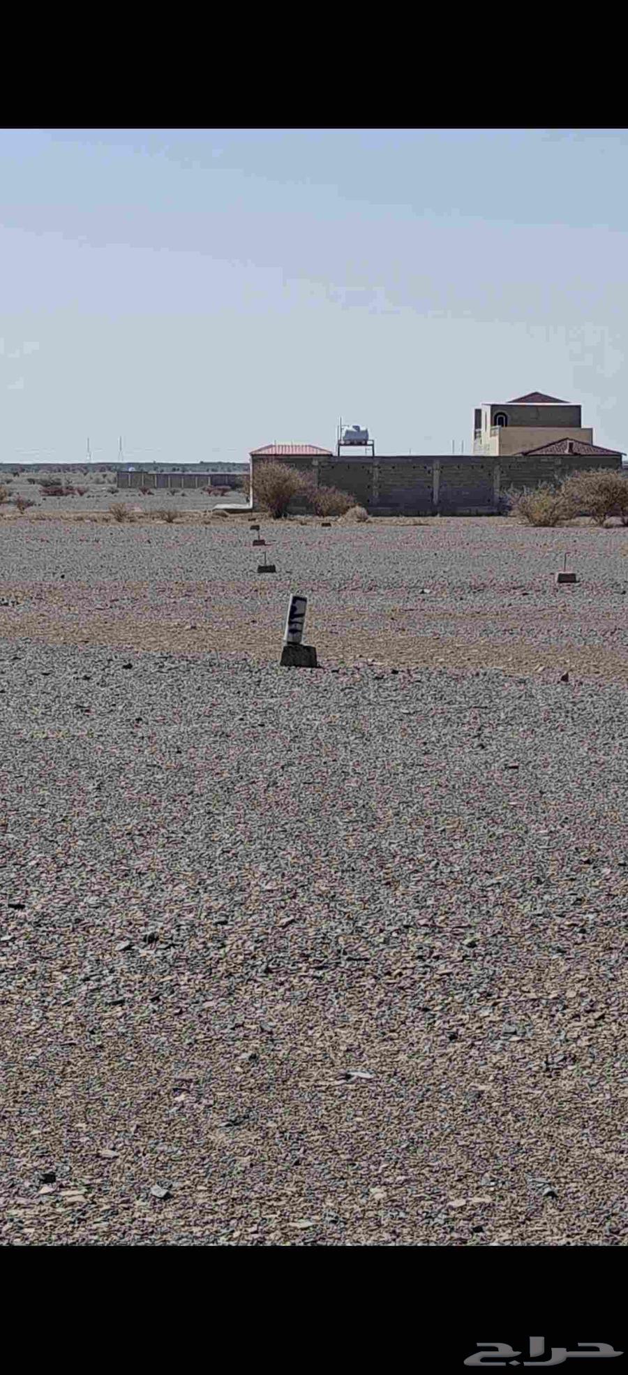 For Sale: Corner Plot in Al-Suwaidrah Second Layout64618932690946112