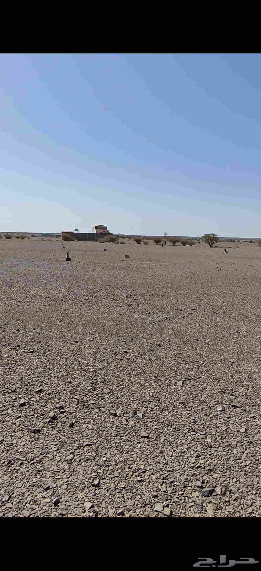 For Sale: Corner Plot in Al-Suwaidrah Second Layout64618932690946114