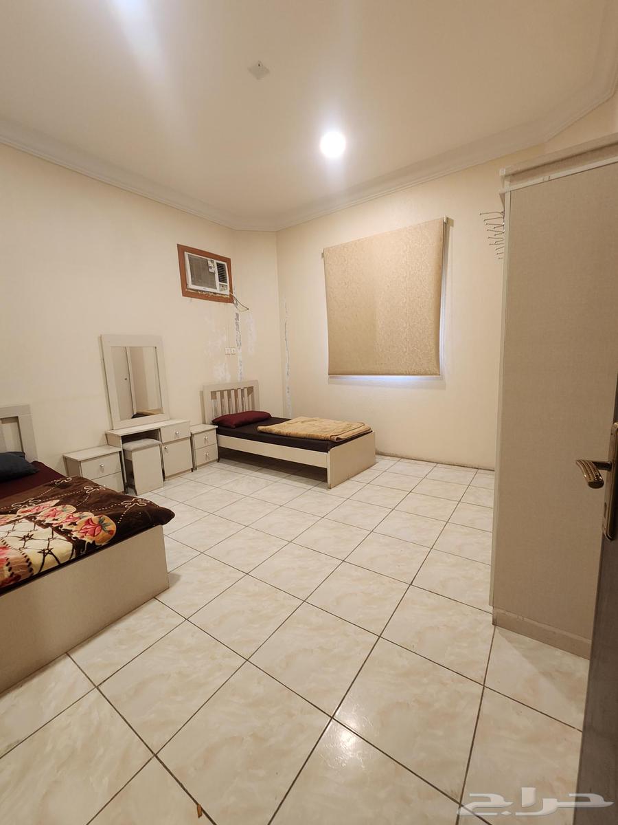 Bachelor Apartments Opposite the Second Gate of the Military City, One of Rafidah64618977885569111