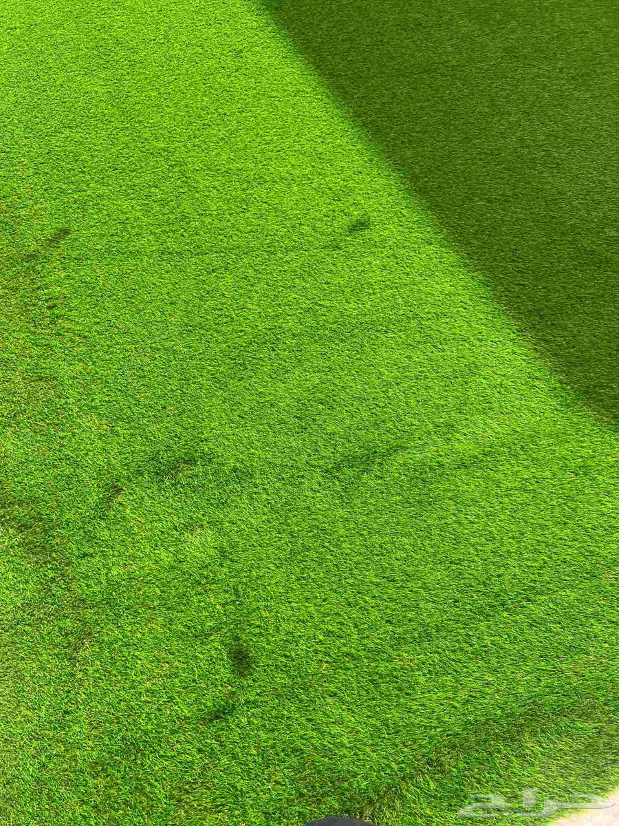 موجود عشب الصناعي برول السعر جملة ابها خميس جيزان نجران64618993616387113