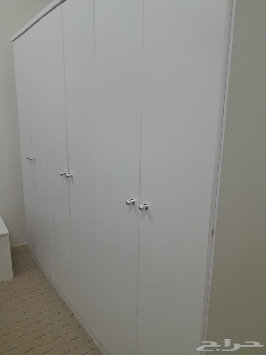 Carpenter in Tabuk64613482856706110