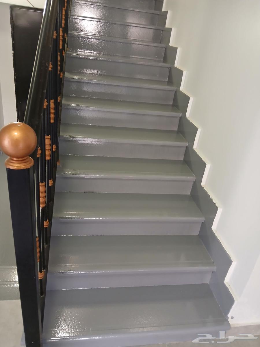 دهان في تبوك داخلي وخارجي64613496483330110