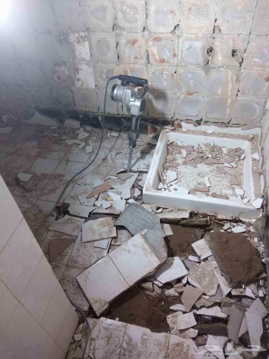 Mobile Number & WhatsApp64619151732995113