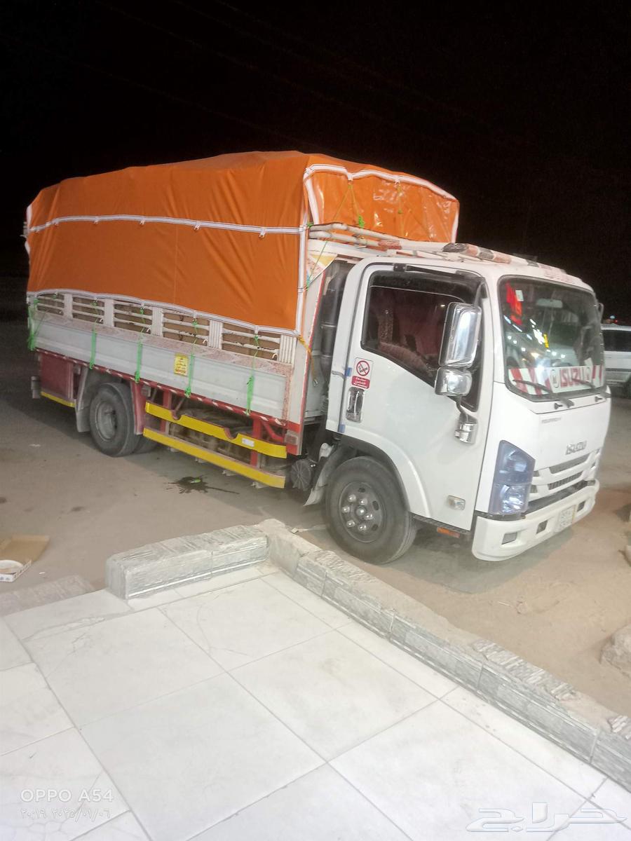 Dina is in Afif, heading towards Al-Qassim64618993972995110