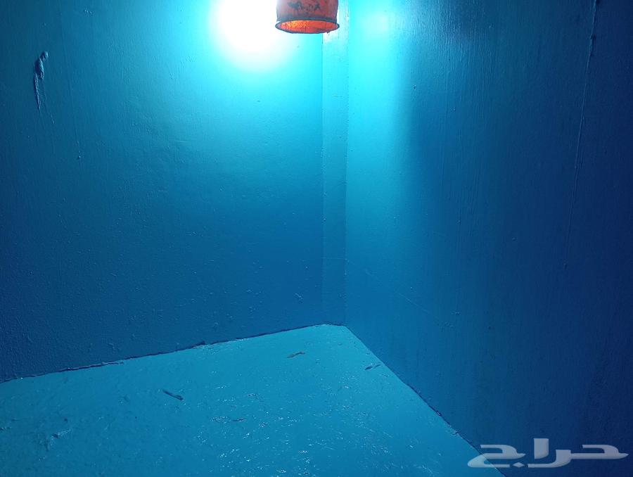 Water Leak Detection, Tank Waterproofing, Roof Waterproofing, and Solutions for High Water Bills64613482082818110