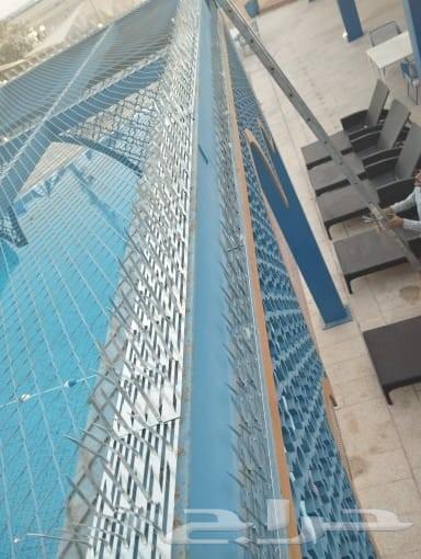 شركة تركيب طارد ومانع الحمام شبك وشوك ومانع قطط64619152954625111