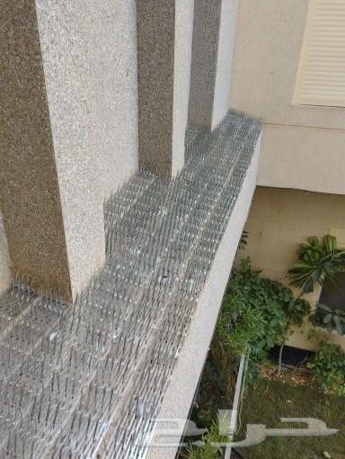 شركة تركيب طارد ومانع الحمام شبك وشوك ومانع قطط64619152954625113