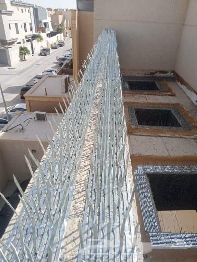 شركة تركيب طارد ومانع الحمام شبك وشوك ومانع قطط64619152954625114