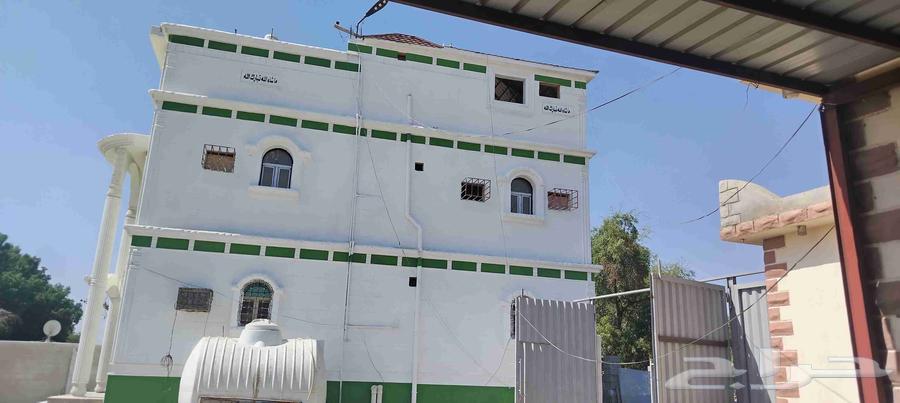 بديل الحجر الطبيعي لياسة ملونه64619167164163113