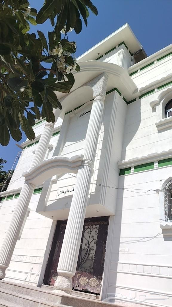 بديل الحجر الطبيعي لياسة ملونه64619167164163112